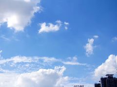 -莫奈花园法式蛋糕