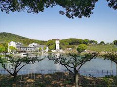 -桃花岛景观公园