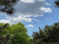 -北京西山国家森林公园