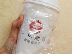 金玉乌龙-一杯潮茶·专注潮汕茶饮(十二中创始店)