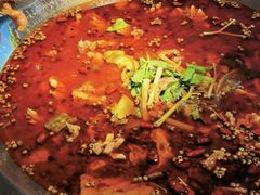 -川江渔府火锅(学府路直营店)