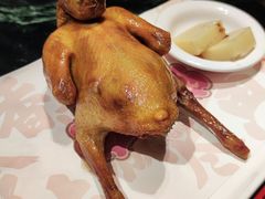 红烧乳鸽-大鸽饭(北京路店)