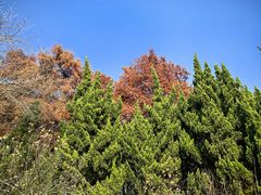 -白塘生态植物园