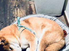 -三目仓咖啡(贤南路店)