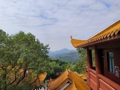 -深圳仙湖植物园