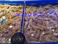 -澜悦港海鲜体验主题餐厅
