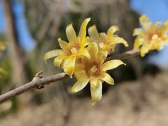 -国家植物园南园