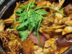 特色牛蛙煲-二楼老店重庆鸡公煲(真光路店)
