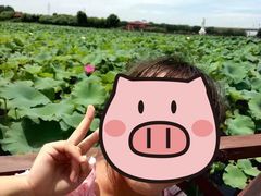 -荷塘月色湿地公园·向阳花洲