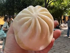 素包-西园寺素食(西园弄戒幢律寺店)