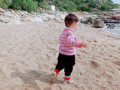 -广东惠东海龟国家级自然保护区
