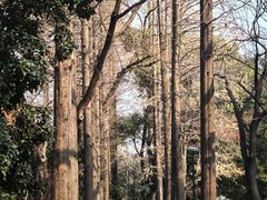 -苏州大学(天赐庄校区)