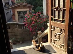 -杨桃院子旅馆(厦门鼓浪屿中华红墨店)