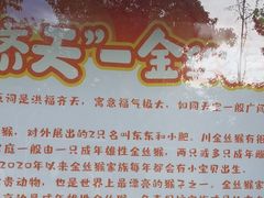 -合肥野生动物园