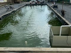 -DGE季风钓虾营地·团建·聚会