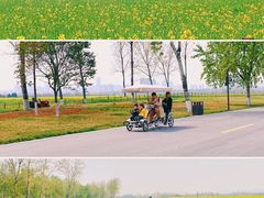 -汉长安城未央宫国家考古遗址公园