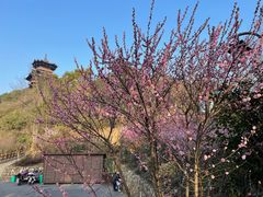 -杭州半山国家森林公园