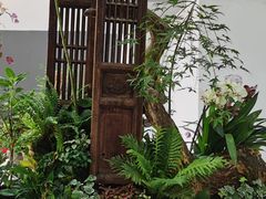 -东平国家森林公园