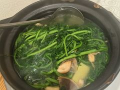 西洋菜陈肾汤-德云居