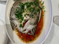 -醉辉皇原味海鲜江南菜(成都大魔方店)