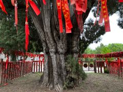 -四门塔风景区