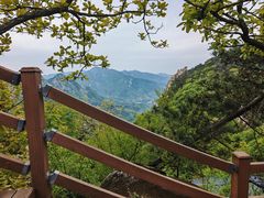 -沂蒙山旅游区云蒙景区(蒙山国家森林公园)