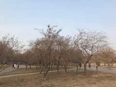 -长春公园(普阳街道)