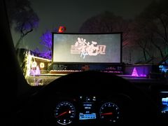 -枫花园汽车电影院(朝阳公园店)