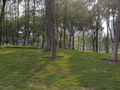 -后襄河公园