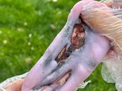 -江南糕潮(新生路总店)