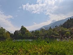 -蝴蝶泉公园