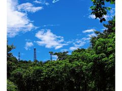 -黄山鲁森林公园