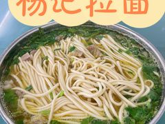 -杨记拉面总店