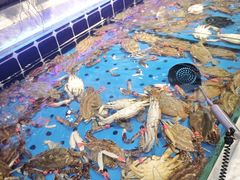 -川骄海鲜自助(河东店)