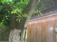 -大妙火锅·非物质文化遗产(东湖公园店)