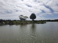 -上海鲜花港
