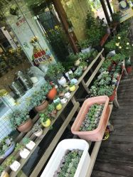 -梦田都市农场(银泰城店)