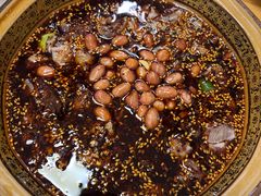 -老字号怡玺·藿香雅鱼(20年雅安店)