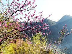 -天台山赤城山景区