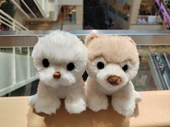 -赛格国际购物中心(小寨店)