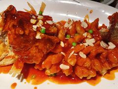 -吴越荣记苏州菜·松鼠桂鱼 100% 活鱼现做(月光码头店)