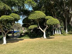 -南宁市动物园