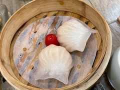 -茶港·点心·啫啫煲(范湖万达广场店)