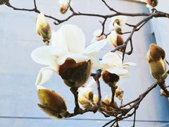 -利群海琴购物广场(商丘路店)