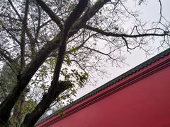 -峨眉山报国寺
