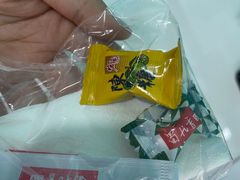 -蜀九香火锅(李家沱店)