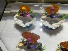 -贝壳王国博物馆
