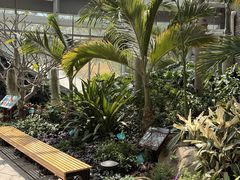 -济南植物园