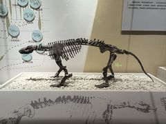 -国家自然博物馆