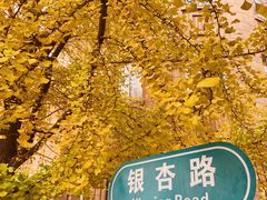 -辽宁大学(崇山校区)